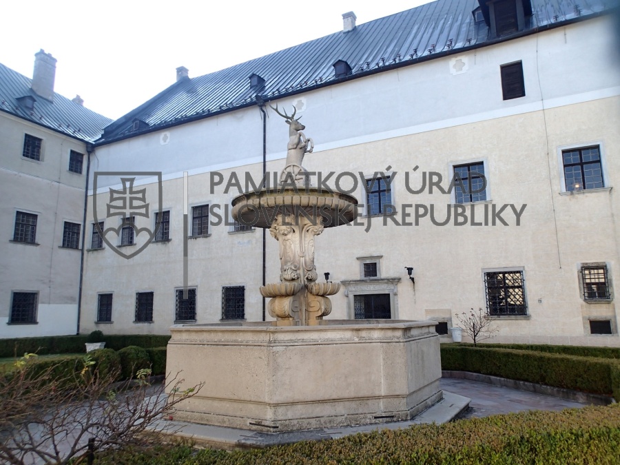 Identifikačná fotografia